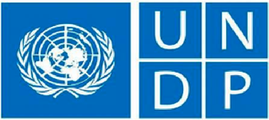 UNDP logo